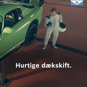 Opslagsbillede