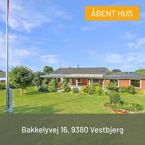 Opslagsbillede