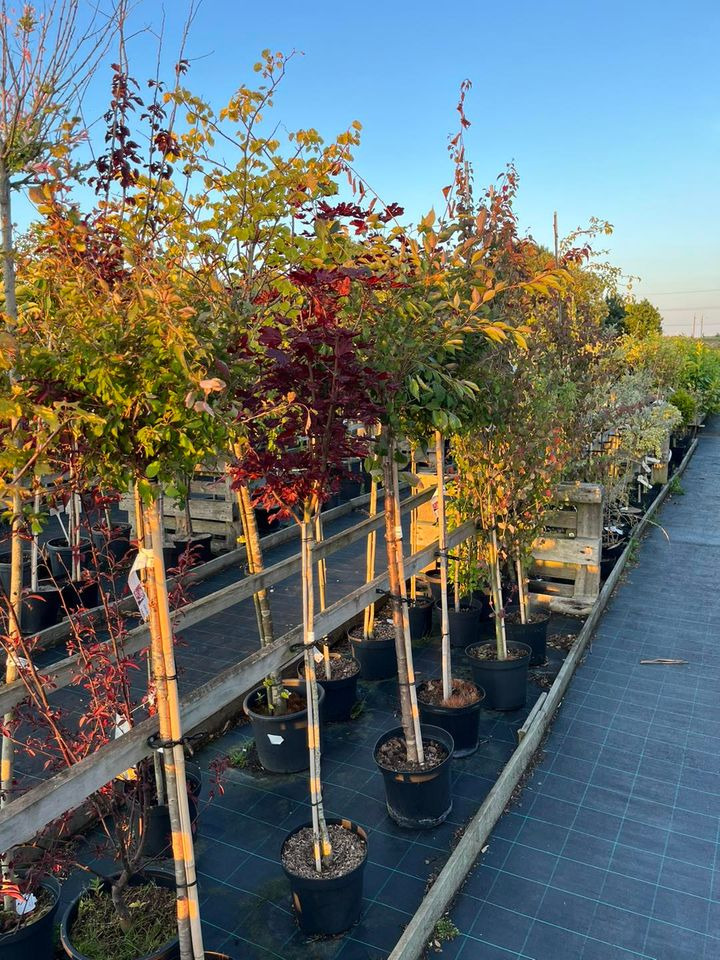 Det nyeste på Odders opslagstavle