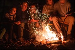 Morgenvandring og landskabskunst i Gl. Lejre