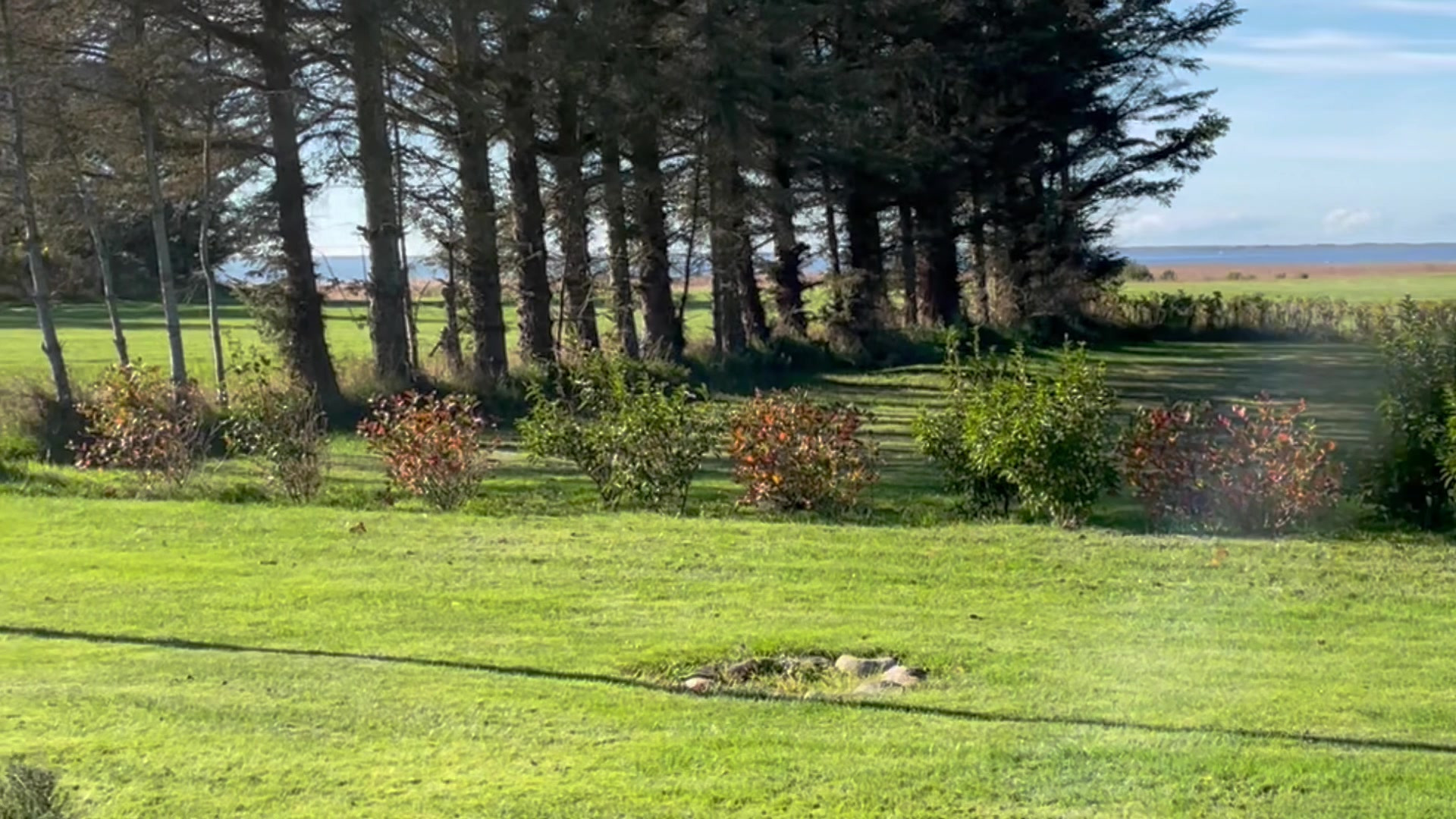 Opslagstavlen: Nyeste opdateringer fra Vemb