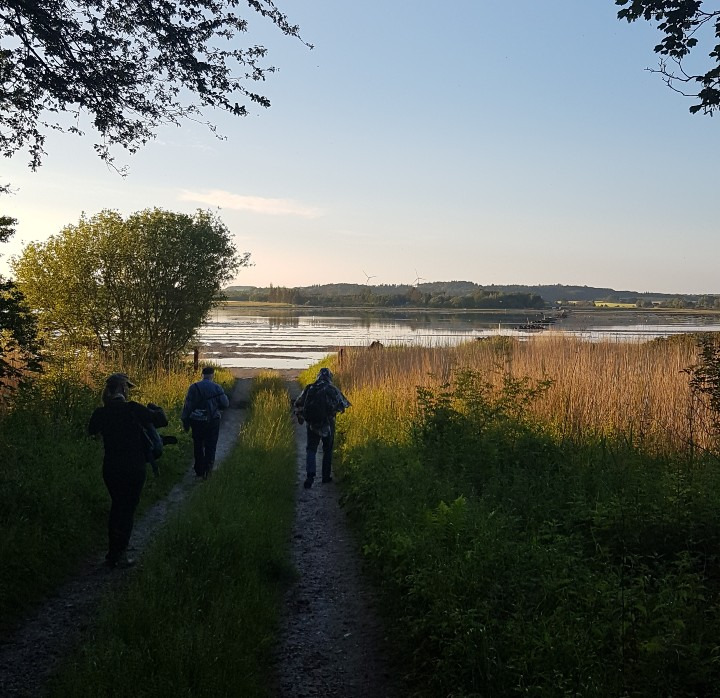 Opslagstavlen: Nyeste opdateringer fra Hammel