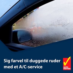 opslagsbillede