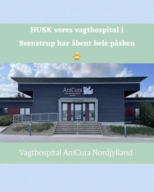 AniCura Dyrehospitalet City Syd tilbyder døgnåben hjælp til kæledyr i påsken