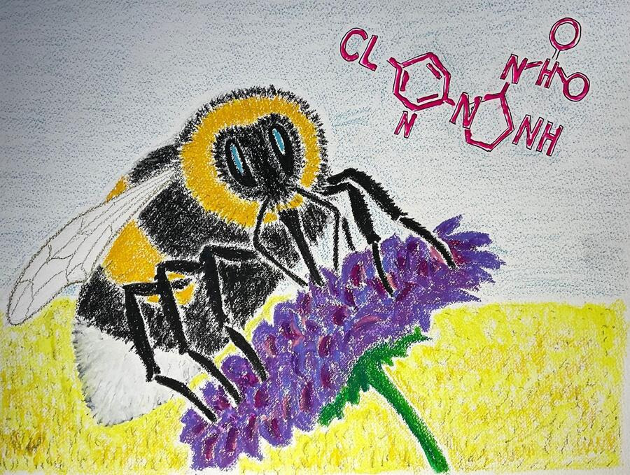 Demokrati, iværksætteri og skriveværksted på Dokk1 i Aarhus