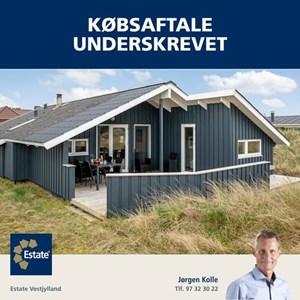 Opslagsbillede