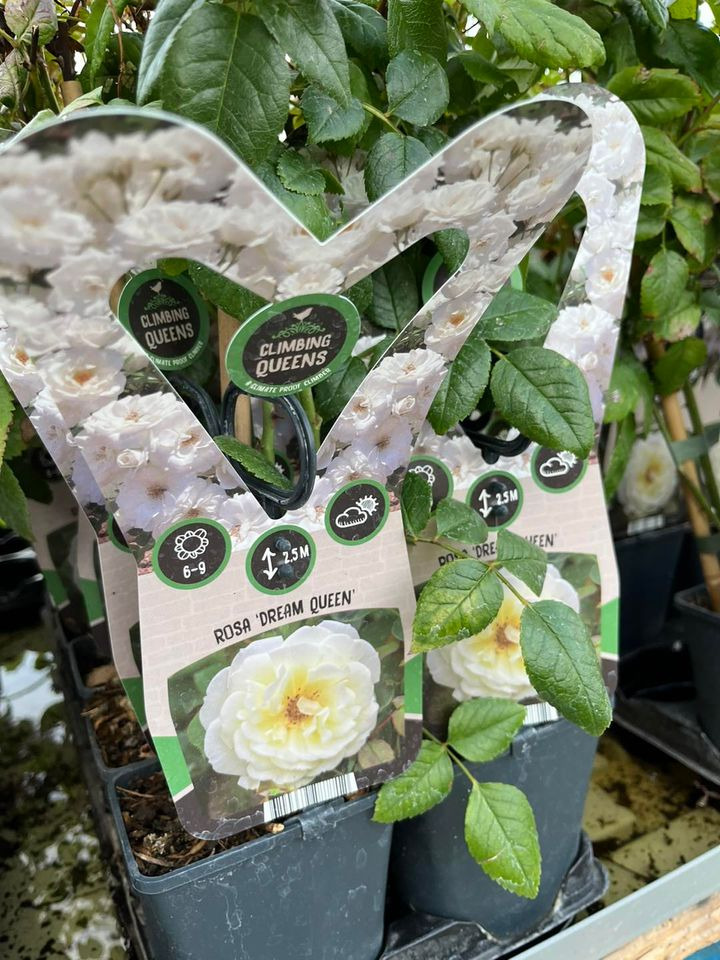 Opslagstavlen: Nyeste opdateringer fra Odder