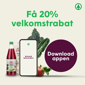 Opslagsbillede