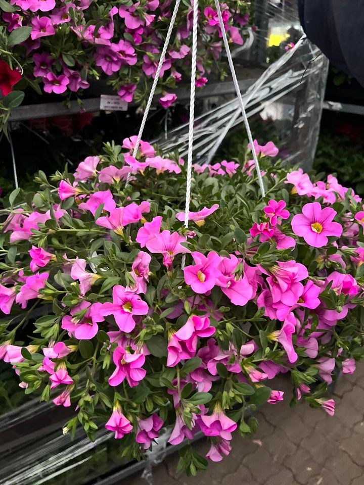 Se dagens updates fra Odder her