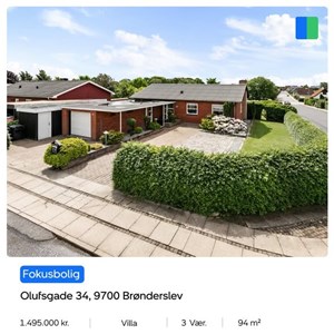 Opslagsbillede