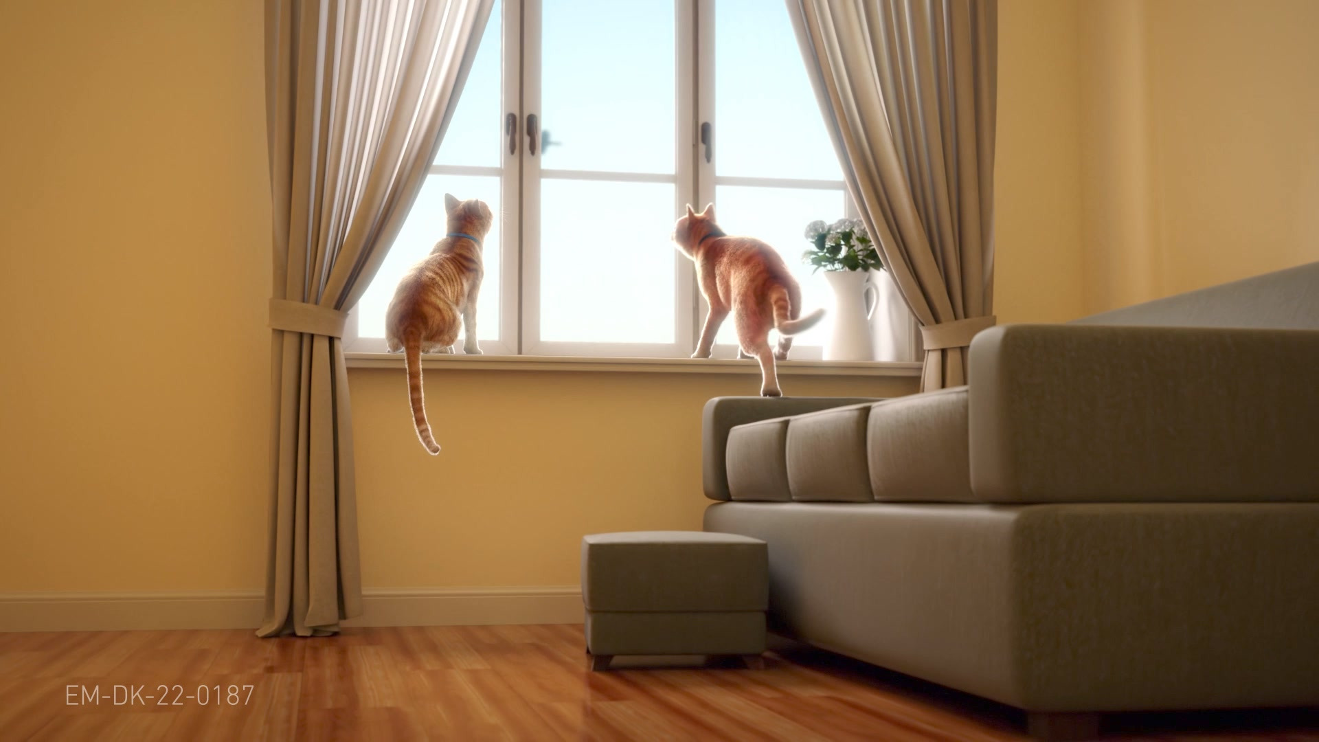 Center Dyreklinik: Senior kampagne i september med fokus på smerter hos ældre katte