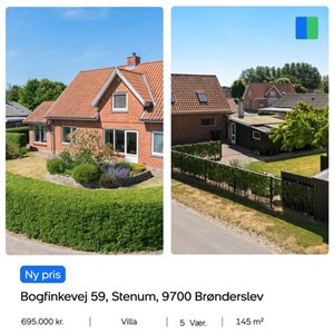 opslagsbillede