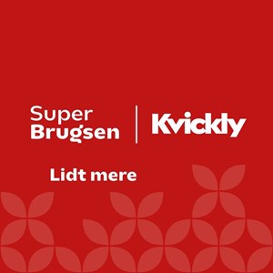 Opslagsbillede