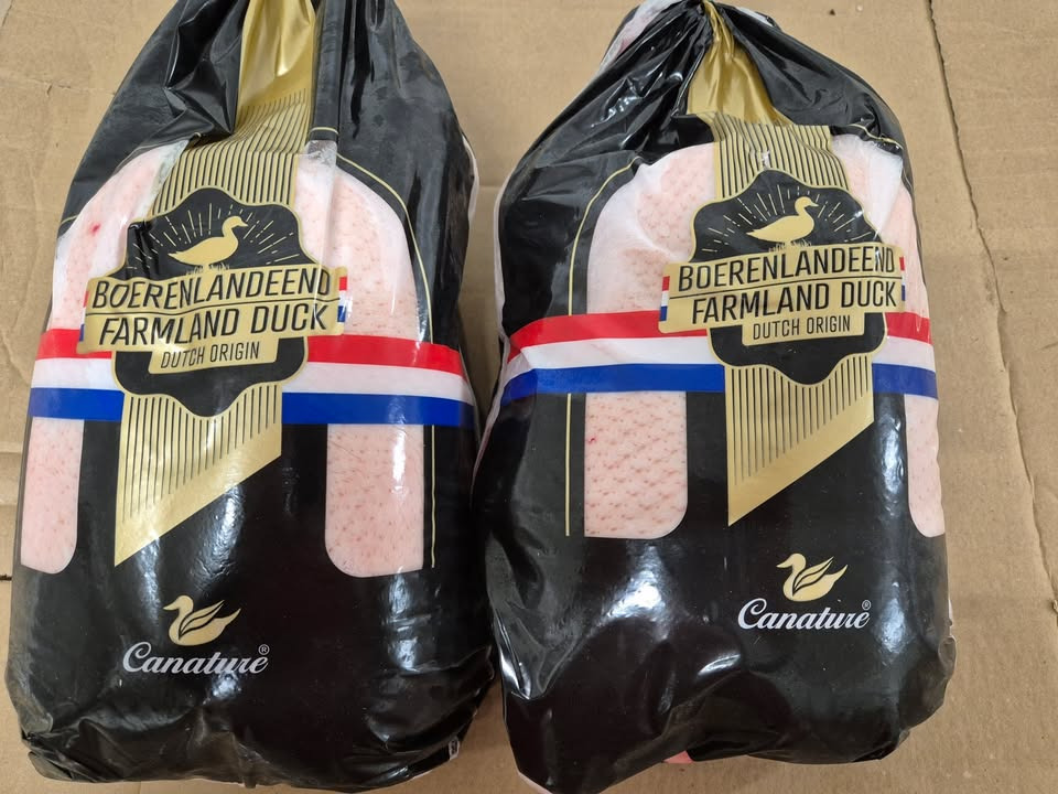 Løvbjerg Frederikshavn: Spar stort på Berentanderland and – kun 79,99 kr frem til 22/12!