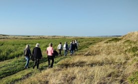 Tag med på Ø-Camino Læsø: Oplev naturen på en spændende vandretur