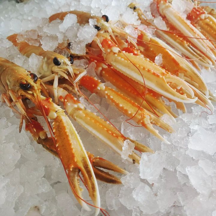 En finger på pulsen i Risskov