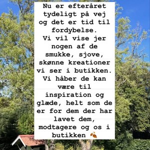 Opslagsbillede