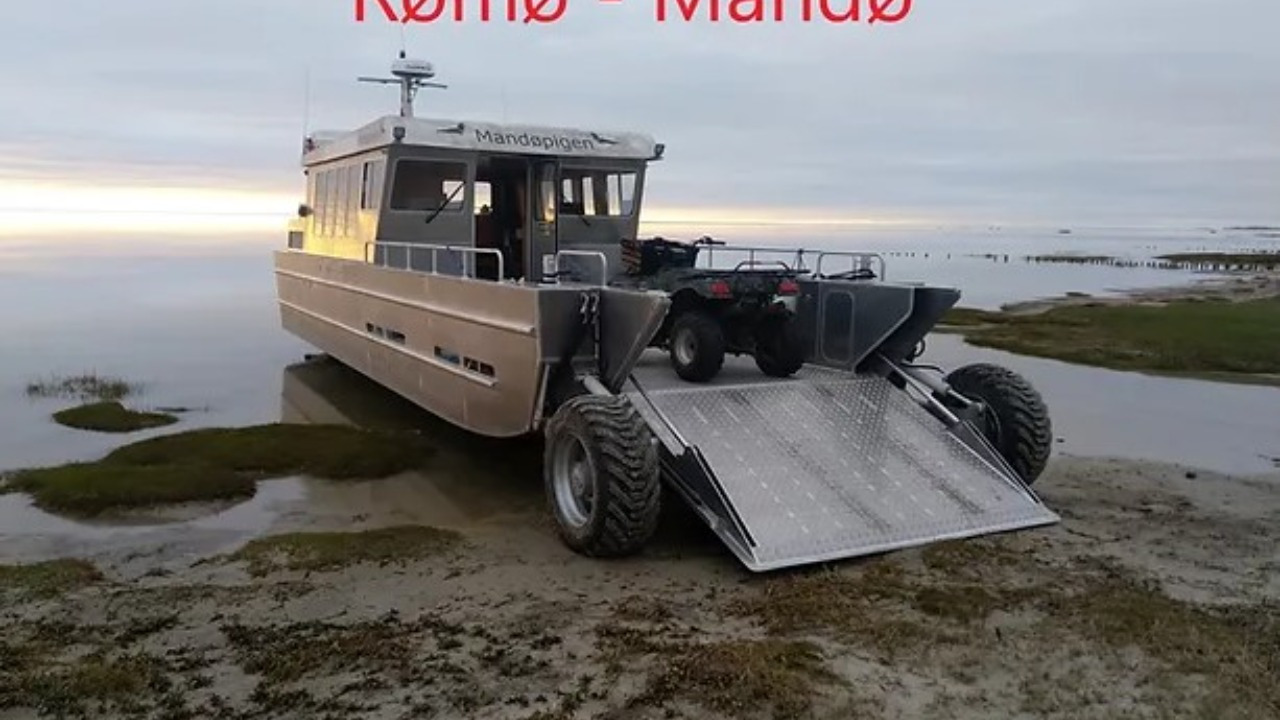Oplev Vadehavets skønhed med Mandøpigen: Ø-hop og sælsafari