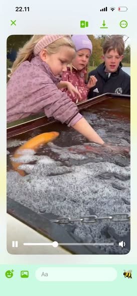 opslagsbillede