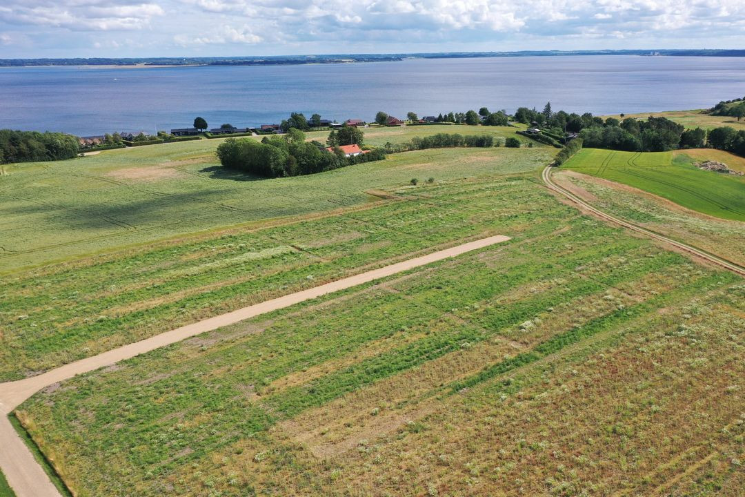 En finger på pulsen i Skive