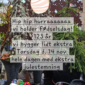 Opslagsbillede