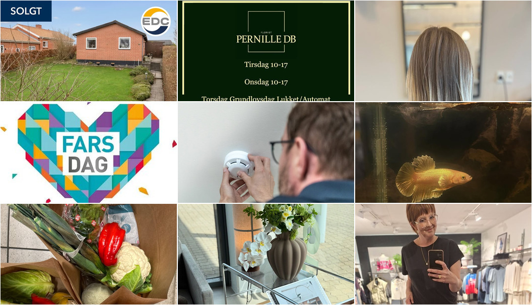 Nyt fra CAMILLAS DYRECENTER, MIN KØBMAND I ASP, NordVestBO og 7 andre