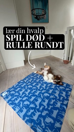 opslagsbillede