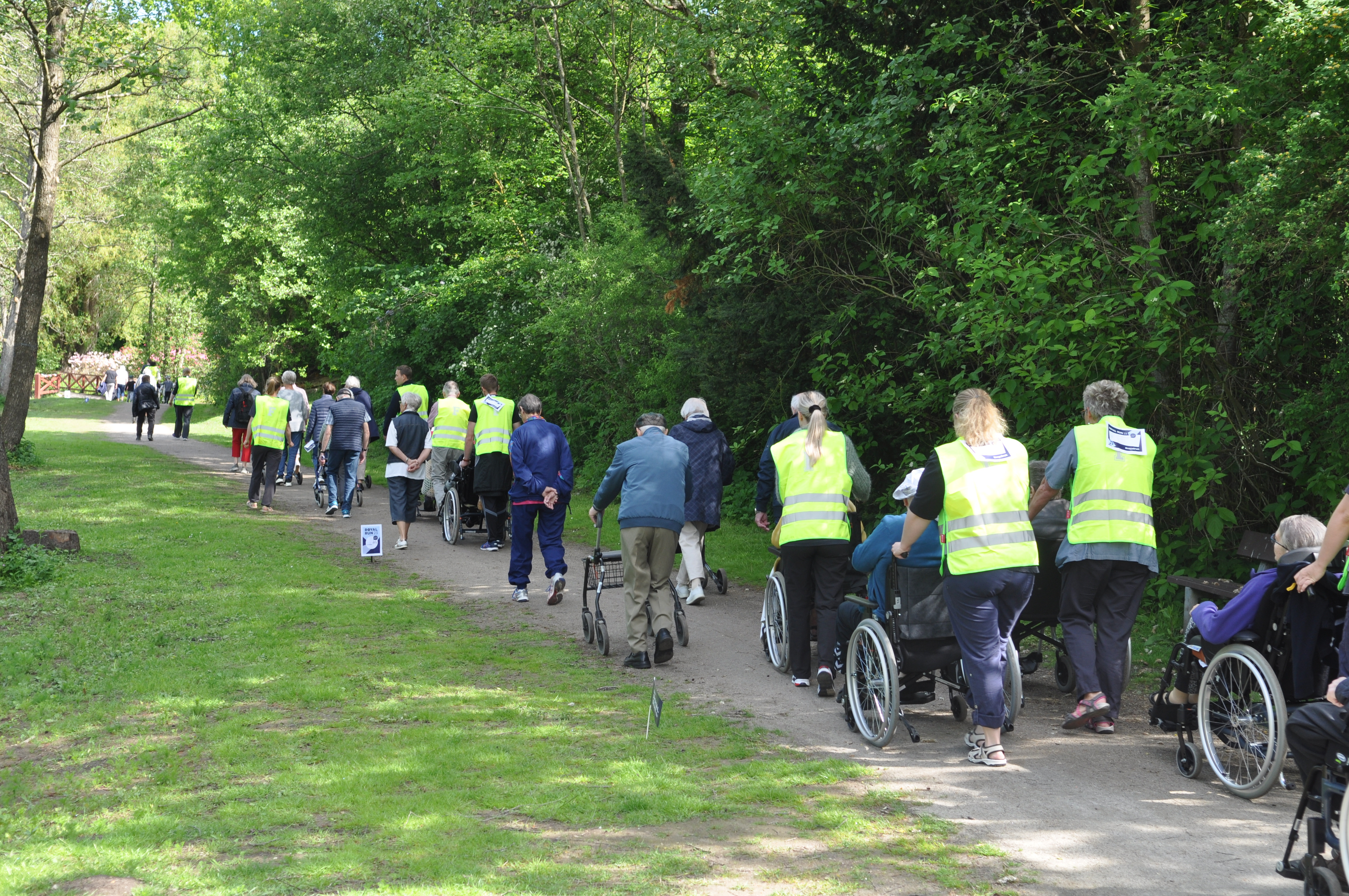 Royal Side Run – festlige dage for plejecentre og daginstitutioner