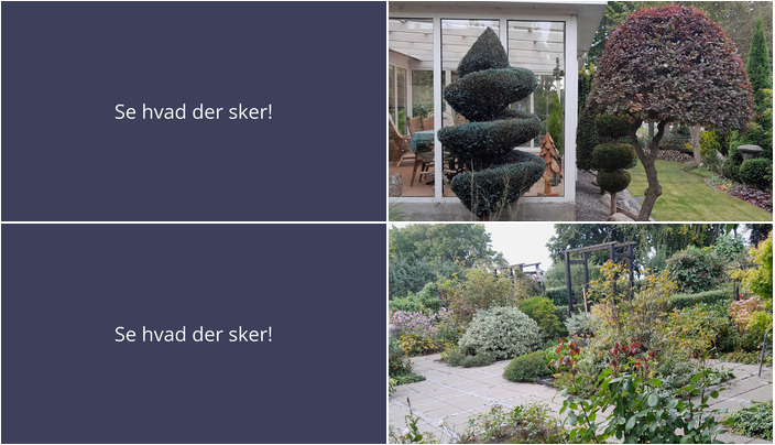 Havens skønhed: Åbne haver i Nørre Alslev