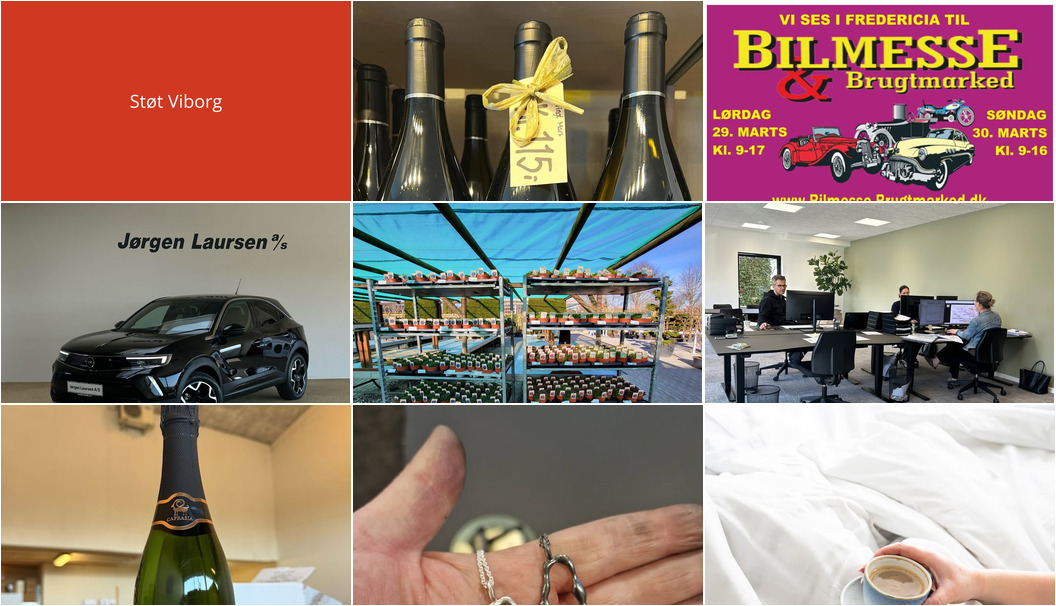 Nyt fra B. G. MONTAGE ApS, Asmild Plantecenter ApS, Den gode vino og 5 andre