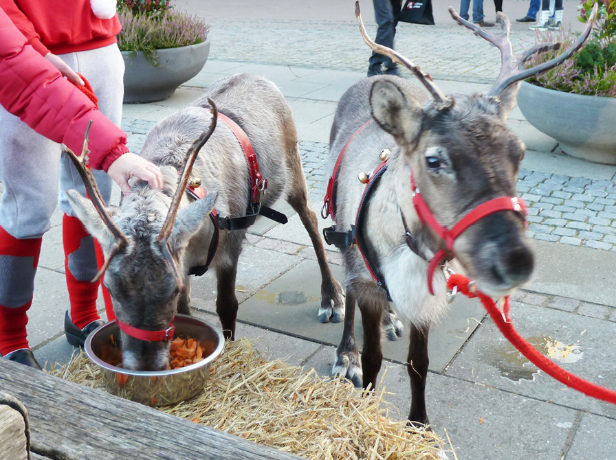 Julestemning og strikkeglæde på Ulfborg Bibliotek