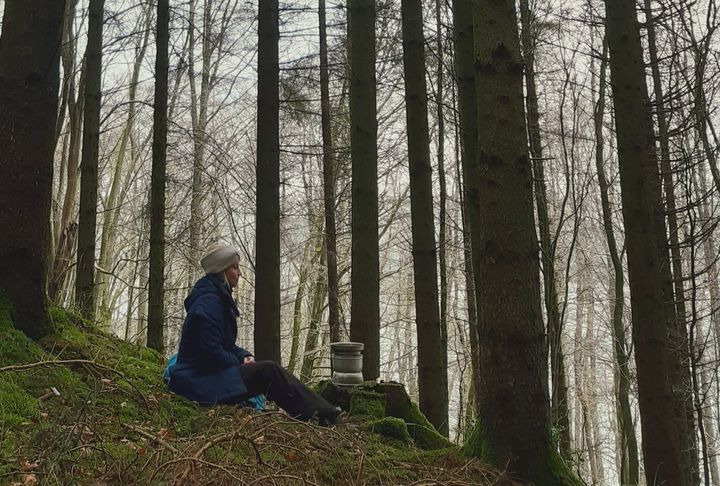 Opdatér dig her: Det nyeste fra Hammel