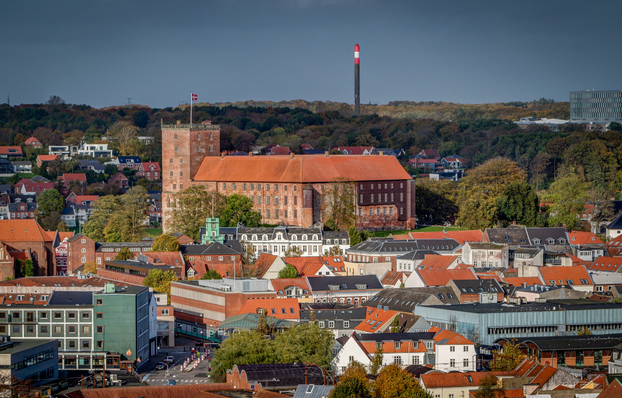17 projekter får støtte fra Kolding Kommunes Bæredygtighedspulje