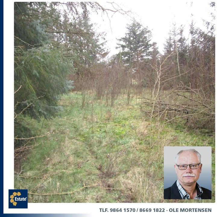 Nyt på opslagstavlen i Møldrup