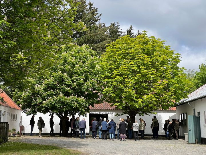 En finger på pulsen i Hjørring