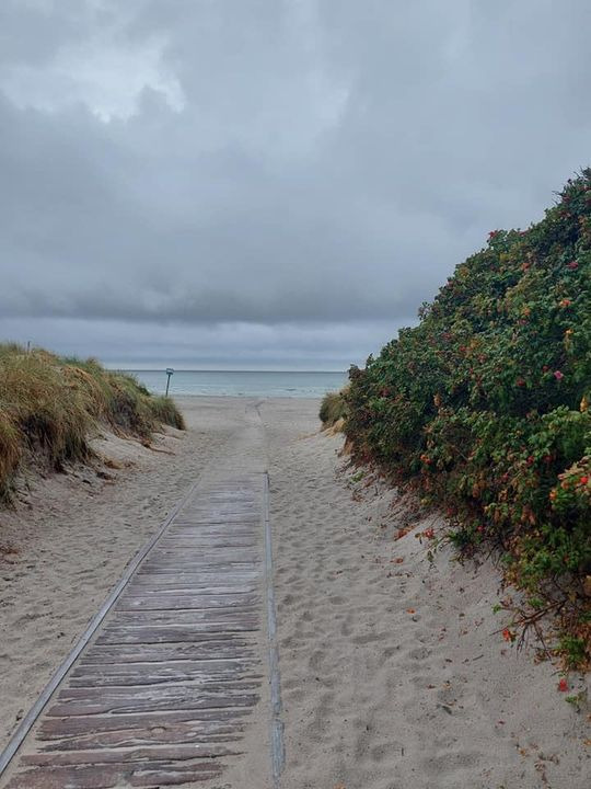 Hold dig ajour med dagens opdateringer fra Hammel