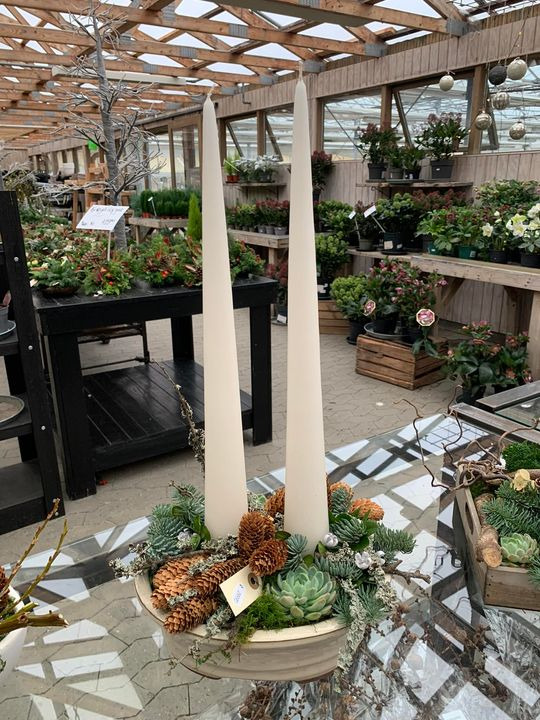 Opdatér dig her: Det nyeste fra Brønderslev