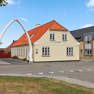 Opslagsbillede