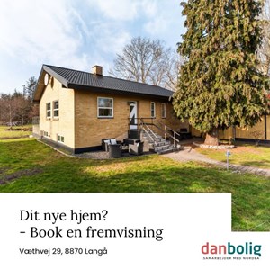 Opslagsbillede