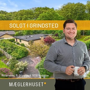 opslagsbillede