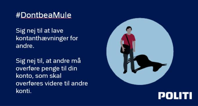 12 mistænkte anholdt i landsdækkende bedrageriaktion