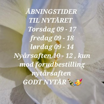 Opslagsbillede
