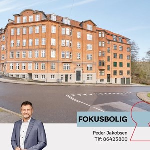 Opslagsbillede