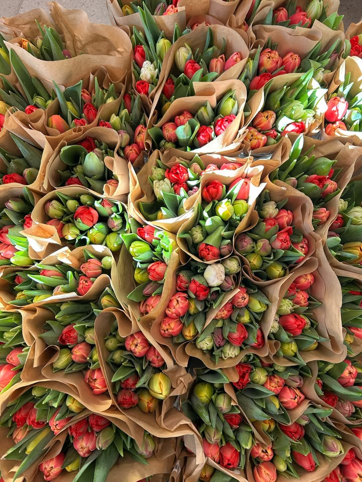 Min Købmand i Asp tilbyder sprøde forårsbuketter til særpris