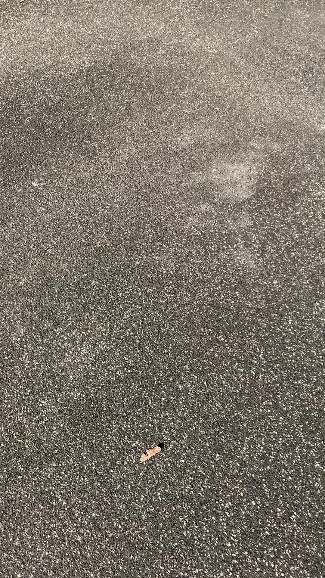 Det nyeste på Vejles opslagstavle