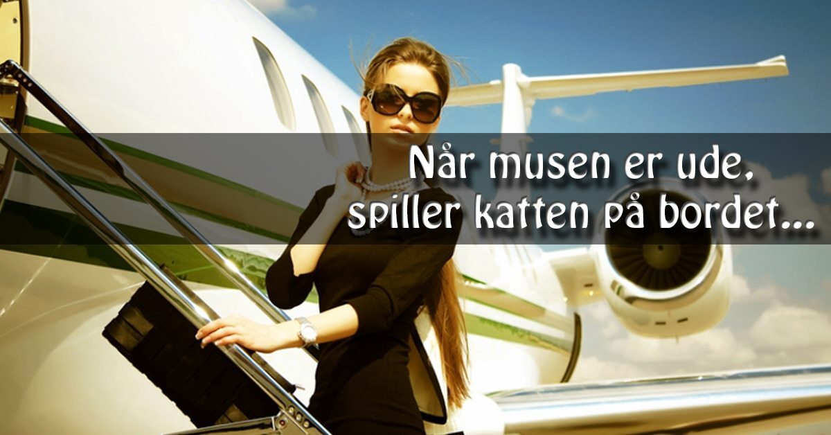 "Når musen er ude, spiller katten på bordet"