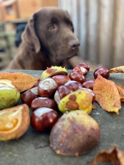 Seneste nyt: tophistorier på sociale medier i Odder