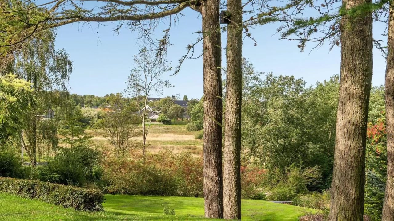 Se dagens updates fra Aalestrup her