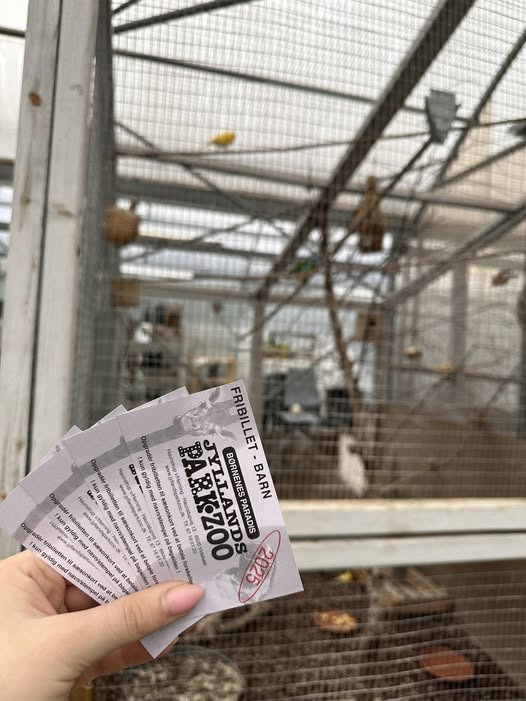 Midtjydsk Gartnerhal inviterer til konkurrence om billetter til Jyllands Park Zoo