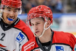 Ungt stortalent klar for Herning Blue Fox